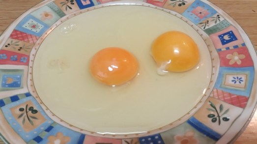 chalaza-el-filamento-blanquecino-que-hace-que-la-yema-quede-flotando-en-medio-de-la-clara